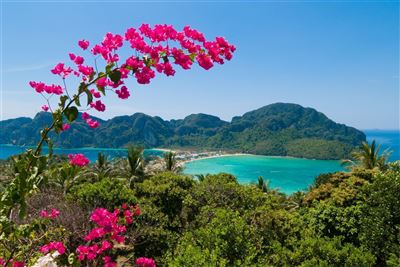 Koh Phi-Phi Strand